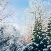 consigli matrimonio invernale inverno nozze